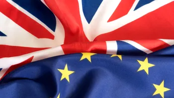 Impactul Brexit asupra românilor din Regat: ce legătură au micii, în opinia ambasadorului