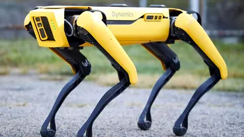Cum ajută roboții canini la depistarea focarelor de Covid