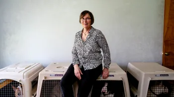 Muncă în loc de pensie: de ce se va dubla numărul vârstnicilor care muncesc și după 65 de ani