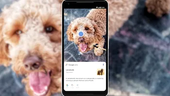 Actualizarea Google Lens: cum vei putea analiza fotografiile din galeria ta