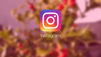 Instagram, pe limba ta: schimbarea pe care ți-ai dorit-o, dacă urmărești vedete străine