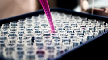 Oamenii de știință au descoperit o nouă structură de ADN: ce înseamnă asta pentru viitorul medicinei