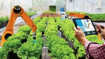 Când agricultura bio se întâlnește cu tehnologia: roșiile ”cultivate” de computer