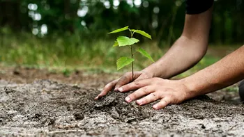 Neutralitatea climatică, doar un vis frumos? De ce ar putea fi imposibil de atins până în 2050