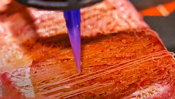 Oamenii de știință japonezi au printat carne de vită Wagyu crescută în laborator