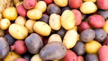 Legătura ciudată dintre cartofi prăjiți și încălzirea globală: alimentația noastră, o problemă