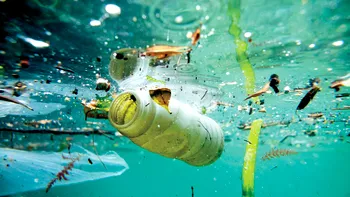Aceste studente au inventat o bacterie care mănâncă plastic din oceane și îl transformă în apă: cum ajută în lupta contra încălzirii globale