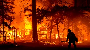 Un nou instrument va fi lansat de Google Maps. Vei putea vedea incendiile din întreaga lume