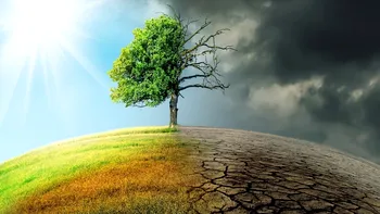 Vor fi mai mulți bani pentru combaterea schimbărilor climatice. Ce însemnă asta pentru noi