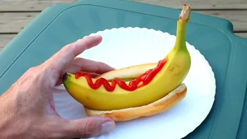 Cele mai ciudate preparate culinare din lume considerate delicatese