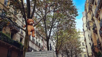 Zece lucruri absurde care se întâmplă pe Pământ
