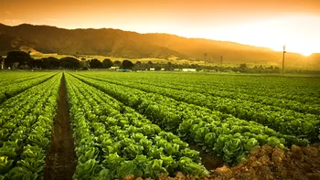 Avem de învățat de la Republica Moldova: planul prin care va face de râs agricultura românească