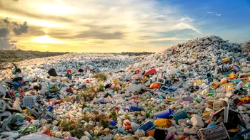 Viitorul planetei, dependent de reciclare, iar noi nu facem cea mai bună treabă: concluziile experților