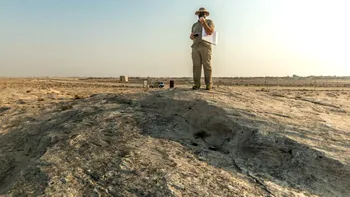 Descoperire uimitoare în arheologie: simboluri misterioase au fost găsite sculptate în deșerturile din Qatar
