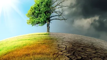 Alimentația noastră și încălzirea globală: cum suntem responsabili de schimbarea climatică