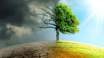 Premieră mondială în medicină: pacientă diagnosticată că suferă de „schimbări climatice”