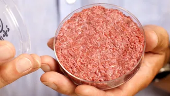 Această țară produce hamburgerul viitorului: unde se deschide fabrica de carne din celule stem