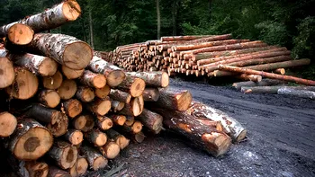 Cum va arăta România în 2040. Pădurile și petrolul dispar, iar noi ne vom împuțina și vom îmbătrâni ca nație