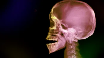 Descoperirea inedită din corpul uman. Schimbă total cărțile de medicină