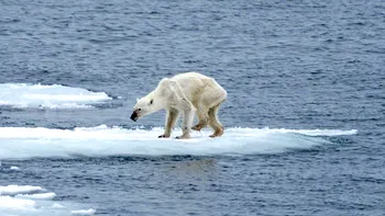 Oceanul Arctic a început să se încălzească cu decenii mai devreme decât anticipau oamenii de știință. Ce înseamnă asta pentru planetă