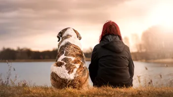 Animalele de companie nu sunt jucării - sunt copii