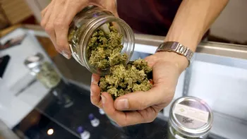 Cultivarea și consumul personal de marijuana, legalizate oficial, pentru prima dată în UE: ce țară a luat măsura