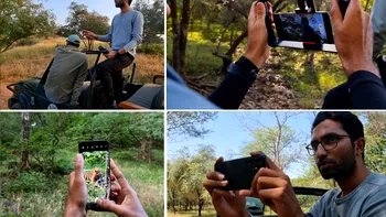 VIDEO Samsung și Discovery au creat un scurt documentar despre tigri, folosind un Galaxy S21 Ultra