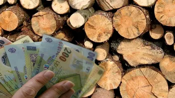 S-a schimbat legea: cum te ajută acum statul, dacă te încălzești cu lemne de foc