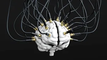 Cercetătorii au creat creiere-cyborg: cum va revoluționa asta domeniul tehnologiei