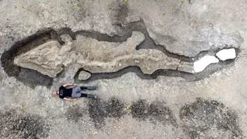 „Dragonul de mare”, un uriaș fosilizat, a fost descoperit: care e povestea prădătorului marin