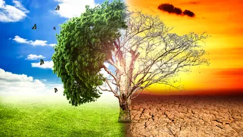 Așa au înțeles americanii încălzirea globală și schimbările climatice: ce dezastru e peste ocean