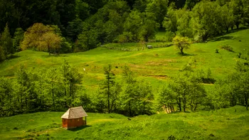 Fascinanta Românie uitată: experiența memorabilă de la Berca