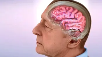 Ce se întâmplă cu funcțiile creierului uman după vârsta de 60 ani: cercetătorii au găsit răspunsul