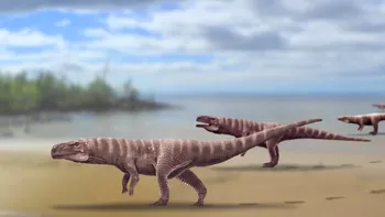 Un crocodil vechi de 93 de milioane de ani a fost descoperit cu un pui de dinozaur în stomac