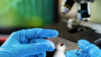 Prima femeie din lume s-a vindecat de HIV: metoda medicală care a avut succes