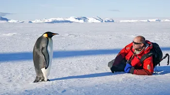 Câteva motive pentru care nu ar trebui să vizitezi Antarctica: ce spun cercetătorii