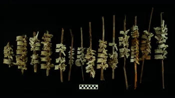 Misterul vertebrelor umane înfipte în țepușe, în Peru, deslușit de oamenii de știință