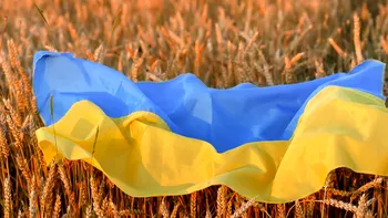 Cerealele modificate genetic, în Europa: ce a produs războiul din Ucraina