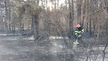 Accident aviatic în localitatea Buhoci de lângă Bacău. Echipajele nu au găsit nicio aeronavă