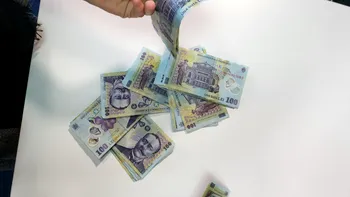 Se dau bani de la stat: anunțul momentului vine de la Guvern și te vizează, dacă ai nevoie de finanțe