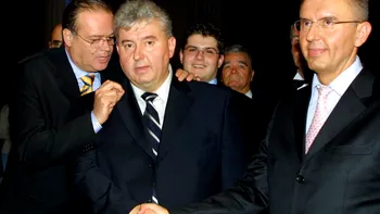 ANAF a început procedura de executare silită a grupului European Food&Drinks, fondat de fraţii Micula