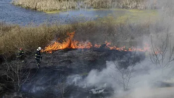 Incendiu de proporții în Delta Văcărești. Sunt degajări mari de fum. Pompierii intervin de urgență