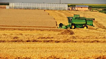 Rusia șantajează țările „inamice”: „Vom furniza alimente și recolte doar prietenilor noștri”
