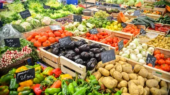 Curtea de Conturi scoate la iveală nereguli grave: ce se întâmplă cu siguranța alimentară