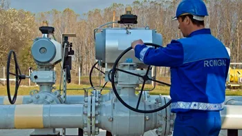 Fost director al Romgaz: politicienii merg prea repede după fentă. Ce vrea să spună