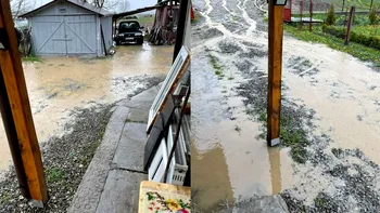 Mesaje RO-Alert din cauza vântului puternic. În Bistrița Năsăud, rafalele au ajuns la 100 de kilometri pe oră