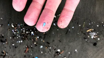 Până unde a ajuns poluarea: s-au găsit microparticule de plastic în plămânii oamenilor. Care sunt pericolele pentru sănătatea noastră