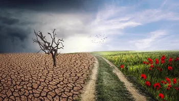 Schimbările climatice vor transforma modul în care trăim: motivele de optimism de la experți și ce soluții există
