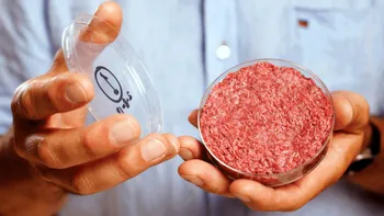 Carnea artificială, salvarea planetei: ce sunt proteinele 