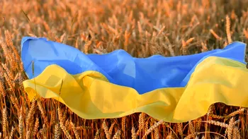 Condiția pusă de Rusia ca să împiedice o criză alimentară globală. Ce vrea Putin în schimb